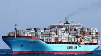 目的港无人提货,船公司索赔20余万滞箱费 外贸和货代要警惕